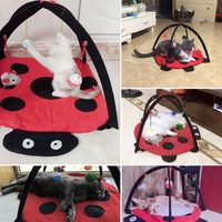 Vente en gros Jouet interactif pour chat Jouets pour chat d'intérieur Extérieur Tente pour animal de compagnie Jouet de jeu Tapis de lit avec boules de cloche de souris suspendues
