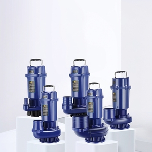 ปั๊มจุ่มไฟฟ้าแบบพกพา เสียงเบา 220V, 1 แรงม้า, อัตราการไหล 3 ตัน/ชม., ช่องจ่ายน้ำขนาด 1-1/4 นิ้ว, สำหรับน้ำสะอาดและการระบายน้ำเชิงพาณิชย์ - Product Image 2