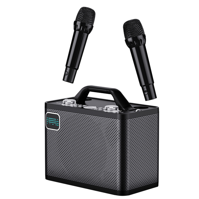 Kasinuo Brand BT Speaker Party Microphone Karaoke Speaker for Family and Outdoor