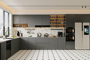 JINGSHUN ENF Appartement Vert Construit sur mesure Solutions de stockage multifonction Meubles en bois avec conception 3D gratuite Vente en gros d'usine - Product Image 3