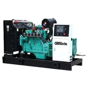 Natural Gas/Biogas/LPG Gas Turbine Generator 20kva 50kva 100kva 200kva with Open/Soundproof Type