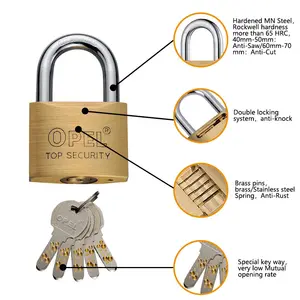 Obel定制豪华可重新钥匙的黄铜安全挂锁和钥匙盒散装
