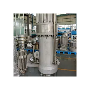 40 L/hr cryogenic sauerstoff pumpe und cryogenic lng pumpe