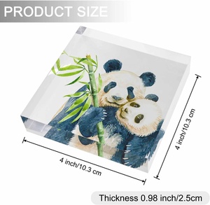Acrylic hiển thị khối tùy chỉnh Acrylic khối <span class=keywords><strong>3D</strong></span> in ấn dễ thương Panda Logo ảnh Acrylic khối hiển thị - Product Image 5