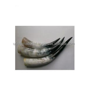 Bocina para beber de la mejor calidad, producto de cuerno de búhos reales, artículos de cocina, agua, bebida, precio barato - Product Image 6