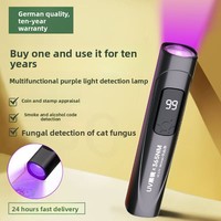 Lampe UV LED rechargeable en plastique ultra-mince 3,7 V (395 nm, 365 nm) pour détection de faux billets, test d'agents fluorescents et usage en camping – Vente en gros