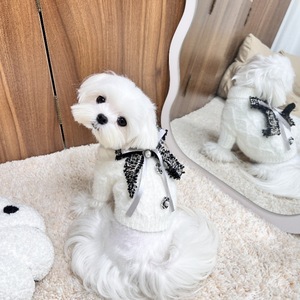 Suéter Clásico de Lana de Lujo para Perro con Estampado Navideño para Otoño, Primavera e Invierno, Abrigos y Chaquetas de Moda - Product Image 1