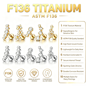 Clous de piercing labret en titane G23 14K avec zircon, filetage interne, pour piercing de téton et de <span class=keywords><strong>langue</strong></span> - Product Image 6