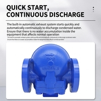 Piège à vapeur à flotteur à levier FT44H, drainage continu, zéro fuite de vapeur, haute efficacité énergétique