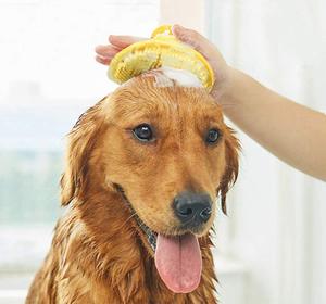 Cepillo de silicona para baño de mascotas, peine de masaje para perros y gatos, removedor de pelo de goma para lavado - Product Image 6