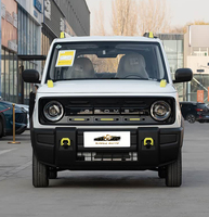 Voiture électrique Geely Panda d'occasion, faible kilométrage, peinture d'origine, véhicule chinois à énergie nouvelle pas cher avec caméra de recul et charge rapide