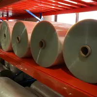 Penjualan Langsung Pabrik Film Pet Lapisan Matte Lapisan Dobel Pet 0.125Mm Plastik Film Pengecil Busa Plastik Gulungan
