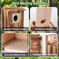 Vente en gros directe d'usine : Nichoirs en bois créatifs pour l'extérieur, cages à oiseaux en bois massif, nids pour colibris, mangeoires en bois, maisons pour oiseaux