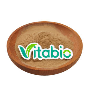 순수 은행나무 잎 추출물/은행나무 추출물 은행나무 추출물 분말 잎 HPLC 드럼 식품 EGB 761 24% 6% 5%/은행나무 - Product Image 1