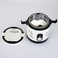Mini cuiseur multifonction 0,6 L, voyage, portable, acier inoxydable 304, cuiseur vapeur, cuiseur à riz intelligent