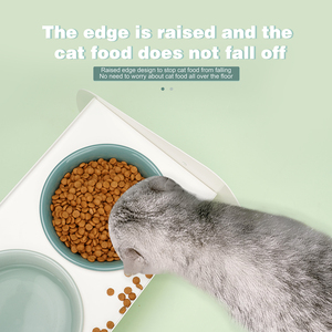Besi Warna-warni Mangkuk Hewan Peliharaan Baja Keramik Dapat Dilepas Anti-Tip Ganda Ditinggikan Mangkuk Hewan Peliharaan untuk Anjing - Product Image 6
