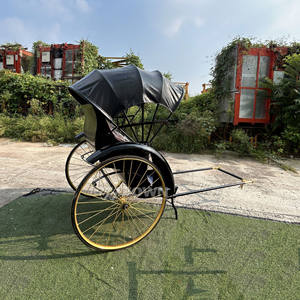Preços com desconto Veículo de Transporte 2 Assentos Rickshaw Sightseeing Travel Rickshaw Carruagem Desenhada a Cavalo Jinrikisha Mão Puxada - Product Image 4