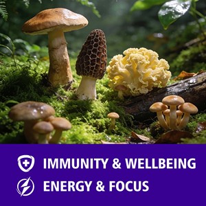 High Quality OEM Mushroom Coffee Powder 10 Mushroom <b>Blend</b> Support Immunity Energy Focus and Daily Wellness Coffee - Product Image 3