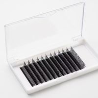 Nouvel Arrivage Extensions de Cils en Faux Vison Mat Forme en V Étroit 0.07mm Courbure C D Petit Éventail pour un Effet Cils en Maille Volumineux