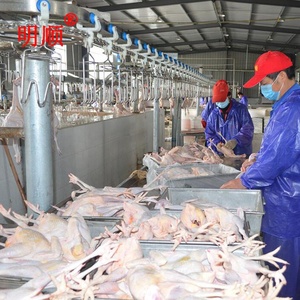 Tự động hoàn chỉnh gà giết mổ dòng thép không gỉ gà giết mổ Máy gà abattoir thiết bị - Product Image 5