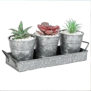 Erba da giardino fioriera Set con vassoio in metallo davanzale per finestre vaso per <span class=keywords><strong>piante</strong></span> con Set di drenaggio per <span class=keywords><strong>piante</strong></span> da esterno o da interno - Product Image 6