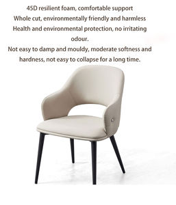 Sedia da Pranzo Moderna di Lusso per Esterni, Arredamento per Sala da Pranzo e Ristorante, Mobili per la Casa di Alta Qualità in Stile Scandinavo - Product Image 3