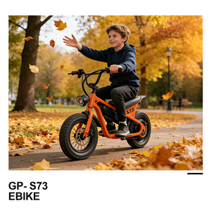 Trottinette électrique pour enfants GreenPedel 14 <span class=keywords><strong>pouces</strong></span> avec pneus larges, 250W 24V 10.4Ah, frein mécanique sûr, vélo électrique pour enfants - Product Image 6