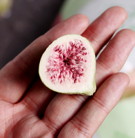 Figues séchées en vrac, naturelles, séchées au soleil, moelleuses et croquantes, entières, sans sucre ajouté, collation saine pour les magasins de proximité