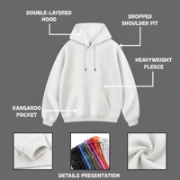 Sweat à capuche double couche 300 GSM en velours épais coupe classique pour boutiques de skate, broderie personnalisée ODM 100% fibre de bambou