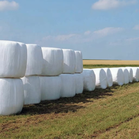 Film d'emballage pour balles de foin en plastique imperméable résistant aux UV Longxing LX25 |   Film de 25 microns, 500 mm x 1500 m pour le stockage de foin, d'herbe et de silage