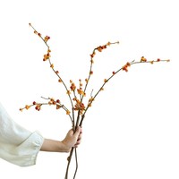 Vente en gros de feuilles artificielles en soie de haute qualité, couleur automne, fausses feuilles de maple rouge, branche unique, pour la décoration de la maison et du salon