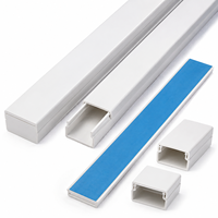 Goulotte de câblage en PVC de 100 mm de large avec couvercle à clipser pour câblage de surface haute capacité