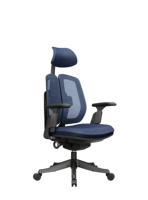 A92 bien vendre nouveau type d'ordinateur chaise de bureau ergonomique confortable