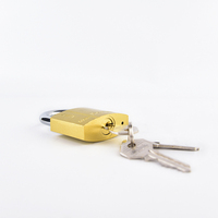 Cadenas Rarlux robuste populaire à anse courte en fer laqué avec 3 clés, certifié ISO9001