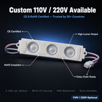 Module LED moulé par injection 3 LED blanc 110V 220V, lentille optique, IP65 pour enseignes lumineuses publicitaires extérieures