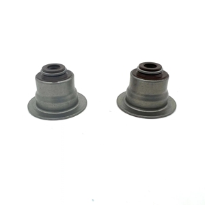 Giá tốt con dấu Vòng Van Stem cho Nissan 13207-53f00 1320753f00 13207-d0111 13207d0111 - Product Image 4