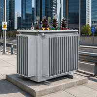 Transformateur de distribution de puissance triphasé immergé dans l'huile Taishun S11 63KVA 50/60Hz 6.3kV 10kV