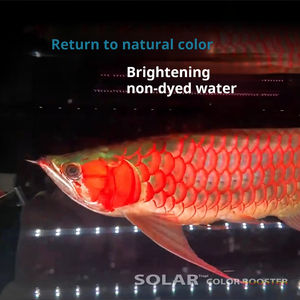 현대 친환경 LED 수족관 조명 녹색 빨간색 해양 조명 물 사용 물고기 탱크 수족관 액세서리 청소 도구 - Product Image 3