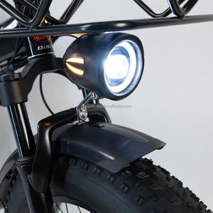 DISIYUAN Super vélo hybride électrique rétro Vintage 73 20 pouces gros <span class=keywords><strong>pneu</strong></span> 500W 48V 15AH/20AH longue portée E vélo <span class=keywords><strong>F1</strong></span> - Product Image 2