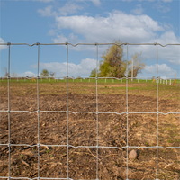 Cerca de Campo Galvanizada para Granja, Malla de Alambre de Alta Resistencia para Protección de Ganado y Animales Salvajes