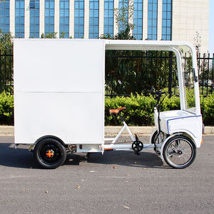 Nouveau <span class=keywords><strong>Quad</strong></span> <span class=keywords><strong>Électrique</strong></span> 48V avec Batterie Intégrée Sans Balais, Capacité de Charge 350KG, Véhicule à Quatre Roues pour Loisirs - Product Image 2