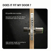 Serrure de porte intelligente professionnelle avec lecteur de carte RFID, empreintes digitales et WiFi pour porte en bois ou en alliage d'aluminium
