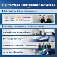 Ligne de production de granulés de biomasse à partir de sciure de bois de haute qualité RICHI, capacité 10-20 T/H, pour bois tendre, au Royaume-Uni
