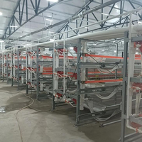 Solution clé en main de haute performance pour l'élevage avicole, planification complète de la construction pour les fermes de poulets à grande échelle