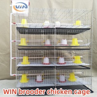Vente au prix d'usine, cage à poulets de type H galvanisée à 3/4 niveaux, capacité de 90-240/120-320, poulets, poussins, poulettes, cage à poulets pour ferme