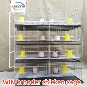 Vente au prix d'usine, cage à poulets de type H galvanisée à 3/4 niveaux, capacité de 90-240/120-320, poulets, poussins, poulettes, cage à poulets pour ferme - Product Image 6