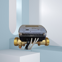 BTU Ultrasonic Heat Flow Meter RS485 Output Residential Heating Pipeline Flow Statistics Equipment OEM Custom Label