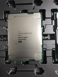 Collection de produits : Processeurs Intel Xeon Scalable de 3e génération (anciennement Ice Lake) pour serveurs verticaux - Product Image 1