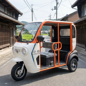 Mini véhicule <span class=keywords><strong>électrique</strong></span> ouvert pour personnes âgées, <span class=keywords><strong>tricycle</strong></span> <span class=keywords><strong>électrique</strong></span> 60V à basse vitesse pour les trajets domicile-travail, adapté au Japon - Product Image 6
