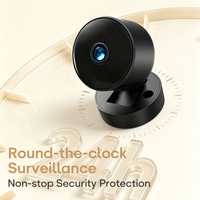 Caméra IP de surveillance domestique sans fil CWISION 1080P HD pour animaux de compagnie et bébés, avec vision nocturne et audio bidirectionnel